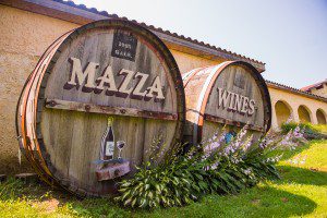 Mazza-Vineyards-Externals_012