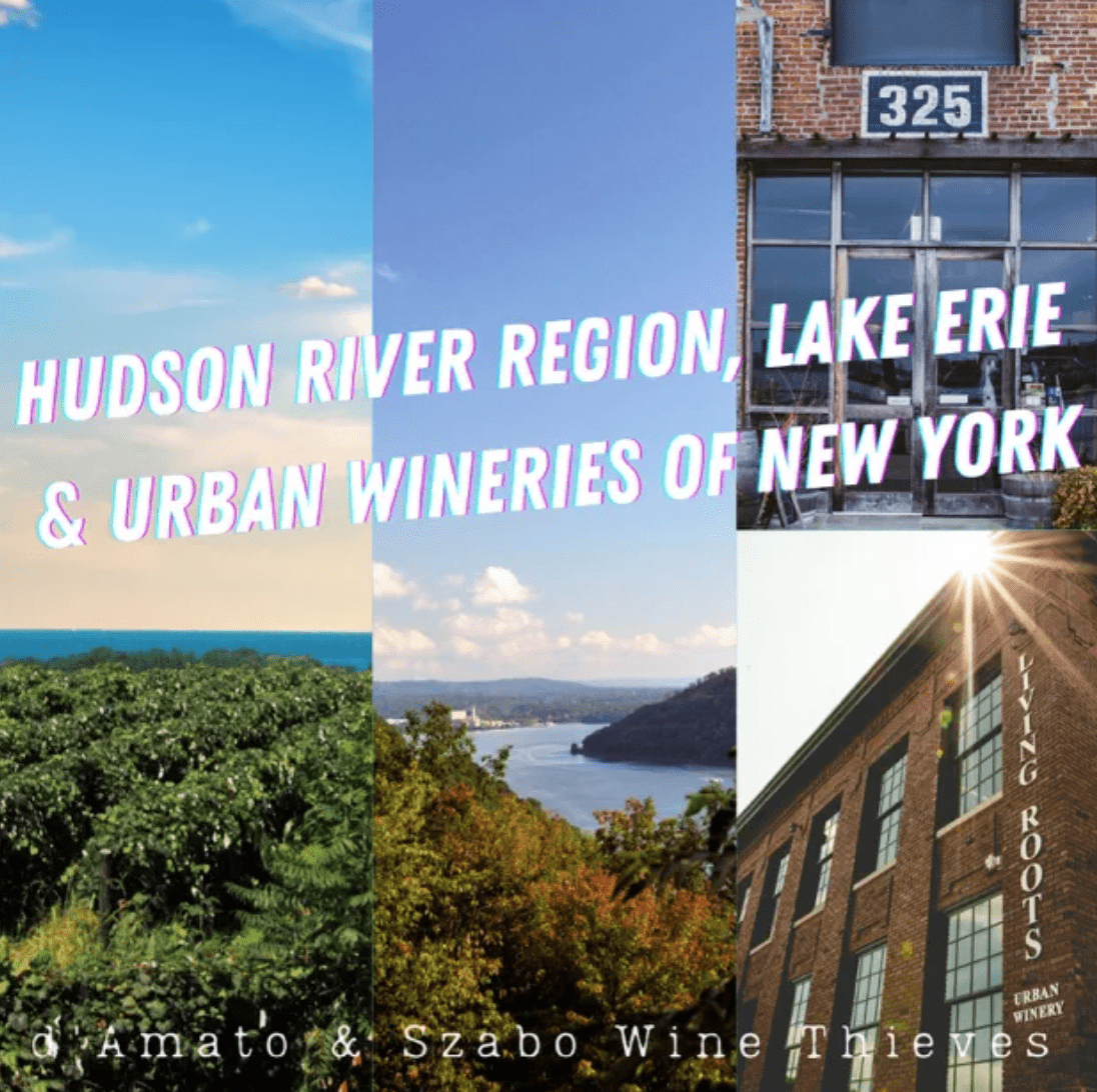 Wine Thieves Podcast feat. Mario Mazza: Hudson River Region, Lake Erie and the Urban Wineries of New York